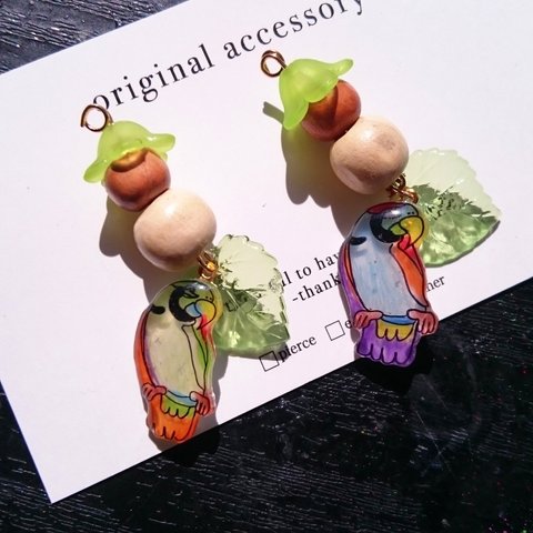 南国🐦accessory