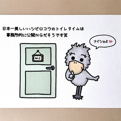 『日本一美しいハシビロコウのトイレタイムは秘密㊙️』イラストカード💌