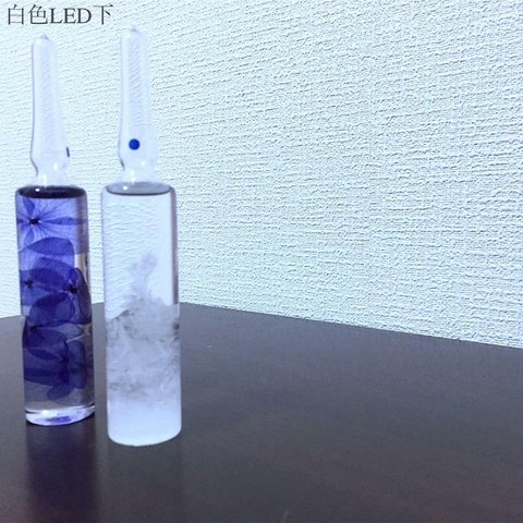 【展示】アンプル型ハーバリウム（植物標本）＠紫陽花L(青紫)とストームグラスL