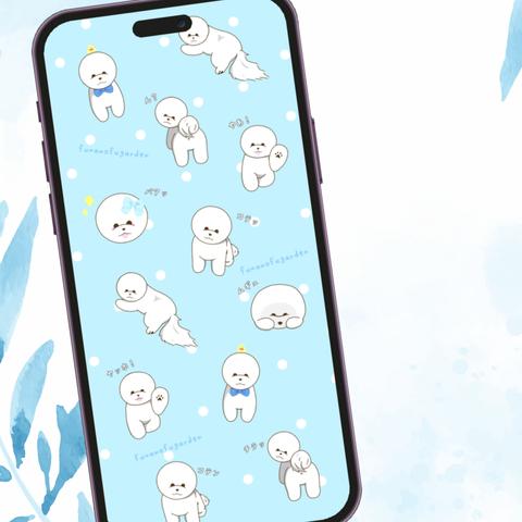 ビションフリーゼのスマホ壁紙(水玉柄)