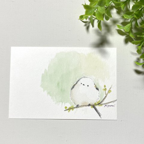 シマエナガの絵はがき【水彩画原画】