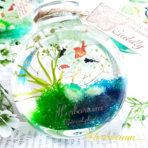 ✧‧˚*:.｡.Herbarium｡.:*　ハーバリウム　金魚　ギフト　インテリア