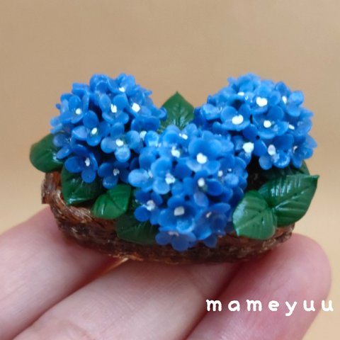 ミニチュア紫陽花  カゴ風の鉢 (ブルー系3輪)