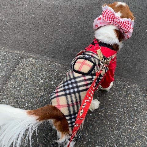 犬服ロンパース、フリースベージュチェック、レッドTシャツ新作冬物