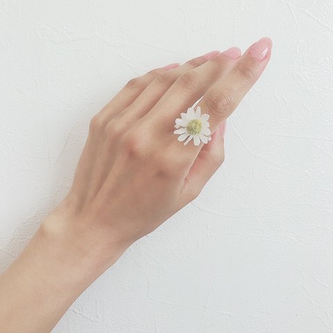 clear ring♡glass flower♡daisy