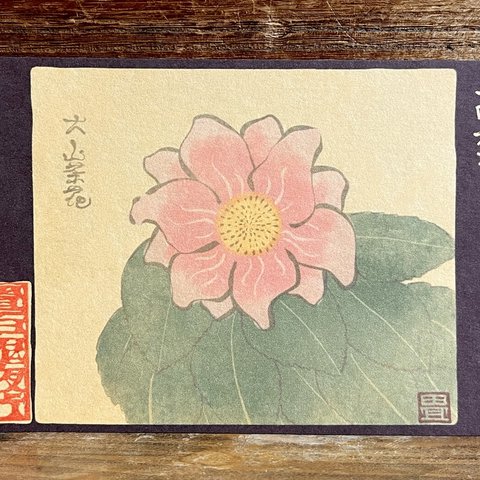 ポストカード １４６６番目「大山茶花」