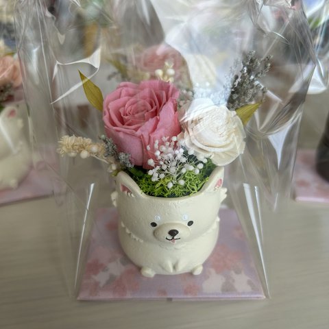 プリザーブドフラワー💐フラワーアレンジメント💐チワワ白