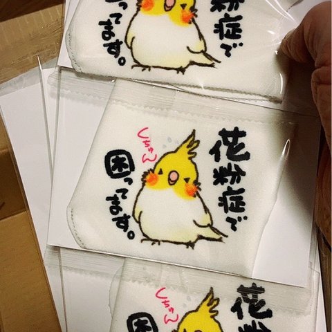 【花粉症で困ってます】オカメインコの可愛い言い訳マスク〜achoo!〜TAKUMIBA 日本製クール立体マスク ホワイト／Rサイズ　