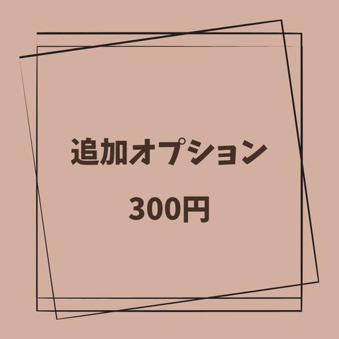 追加オプション300円