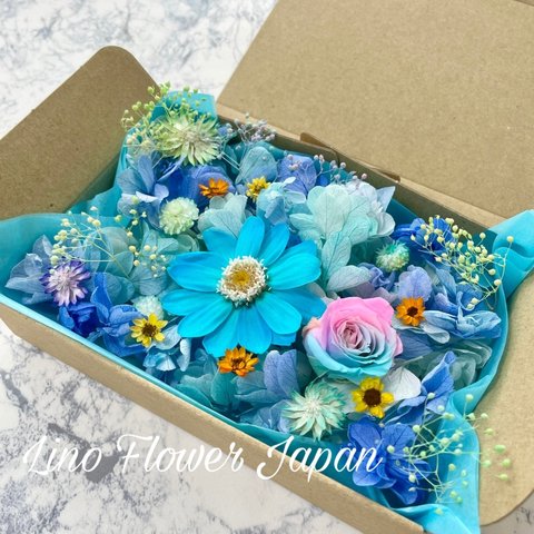 カシワバアジサイFlowerBox⑨