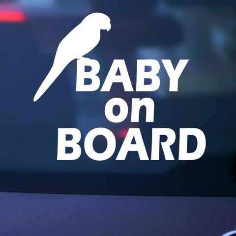 ベビーステッカー/BABY ON BOARD