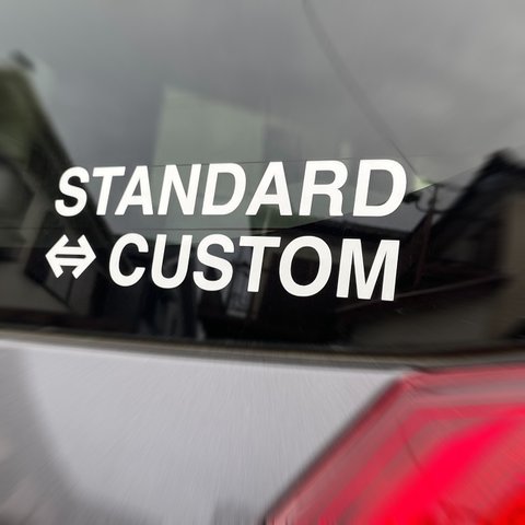 送料無料★STANDARD⇔CUSTOM/スタンダード⇔カスタム◆20×6.5cm◆カッティングステッカー 超防水 UVカット 屋外使用可【C111】