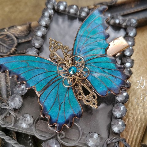 モルフォ蝶のヘアクリップ（hair ornaments of morpho  butterfly）