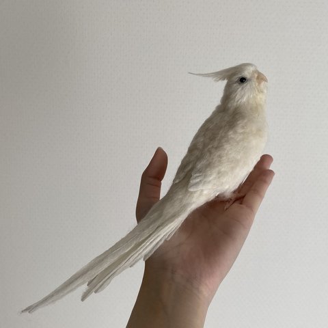 オカメインコ オーダー品