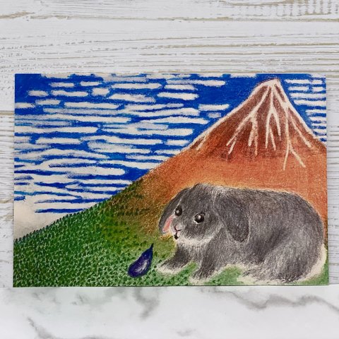 うさぎと赤富士🗻