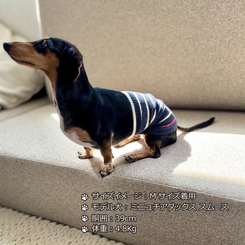 シルクメランジ ワンちゃん(超/小型犬)用 ロングタイプ 腹巻き ★アクセントラフボーダー S/Mサイズ