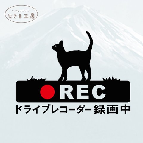 猫ちゃんの黒色シルエットステッカー煽り運転ドライブレコーダー録画中‼