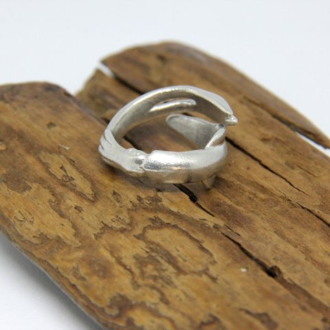 錫製　ケンサキイカのリング