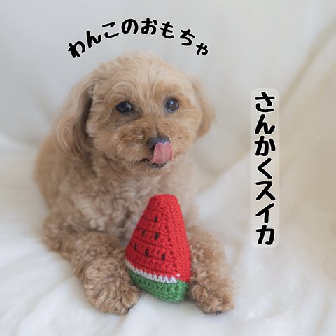 【犬のおもちゃ】さんかくスイカ