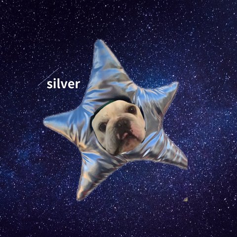  OBUHIのお星様／silver