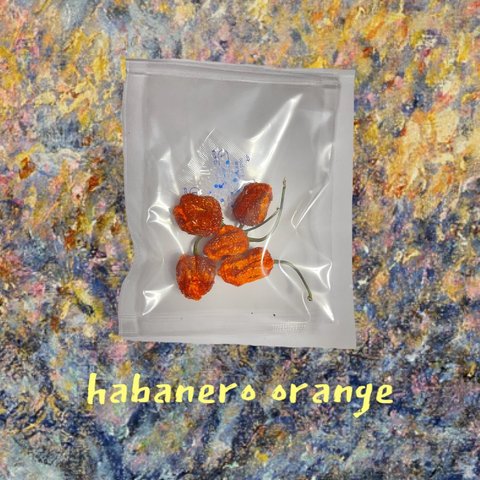 habanero orange