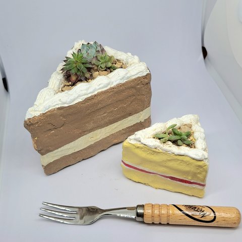 ケーキ鉢の多肉寄せ植え2鉢セット