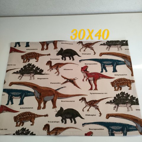 ランチョンマット30X40恐竜🦖柄