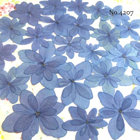 ♡new♡人気のオーダーシリーズ♡紫陽花の押し花セット