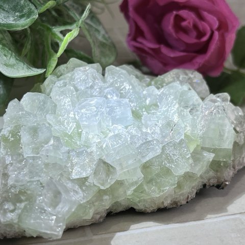 天使の水晶✨　グリーンアポフィライト　原石　クラスター　魚眼石
