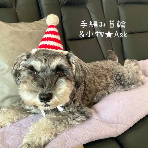 在庫限り❗️ズレにくい♪犬猫用クリスマス帽子【ボーダー】