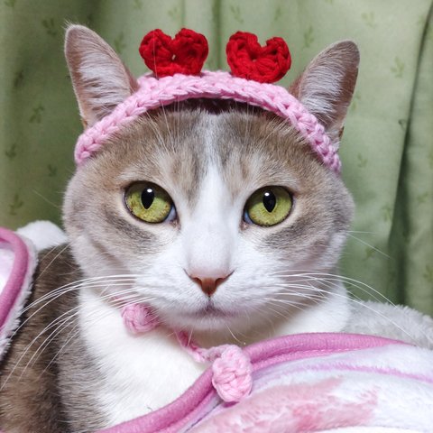 猫用 　帽子　カチューシャ 　ハート　かぎ針編み　バレンタイン