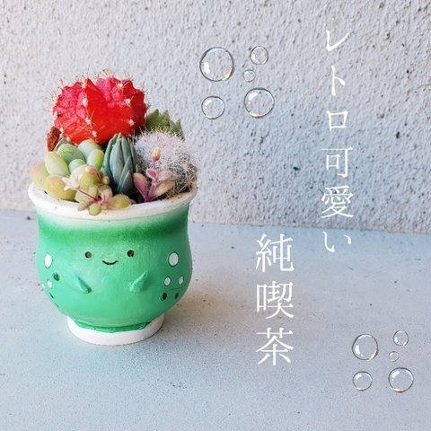 🆕🍒純喫茶レトロ可愛いクリームソーダの寄せ植え🤍