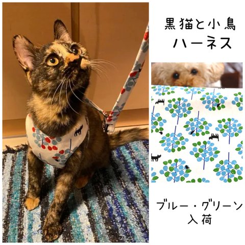 ハーネス リードセット☆ 黒猫と小鳥のハーネス・リード（ブルー・グリーン）猫ちゃん パピーおすすめ