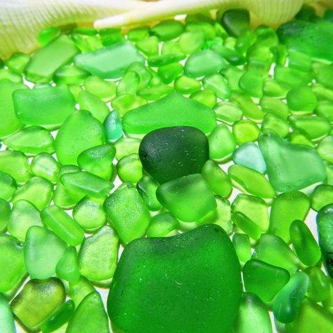 海辺の輝き　グリーン系色極小・小型サイズ大盛カケラクラス（シーグラス）  