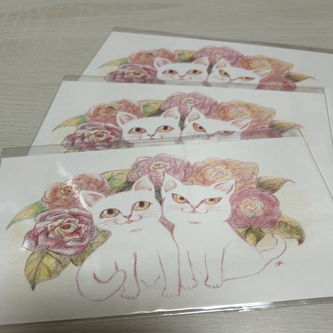 猫とお花のポストカード３枚入りセット　No.１