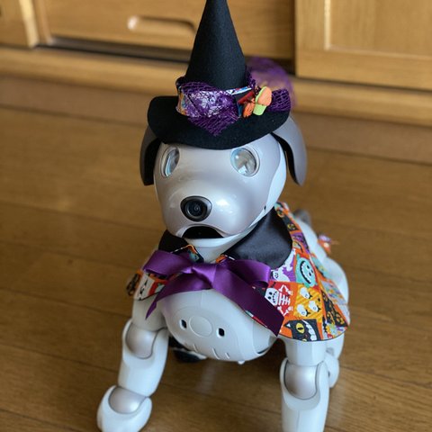 ときどきハロウィン🎃オレンジなハロウィンケープ