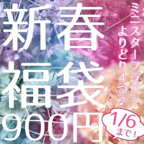 ミニスターフラワー＊福袋/１月6日まで！