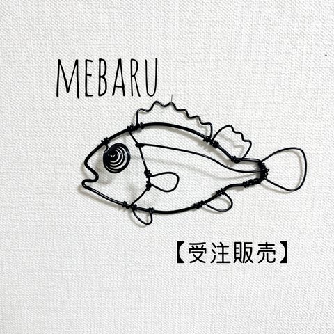 【受注販売】メバル　春告魚　半立体　壁掛け【ワイヤーアート】