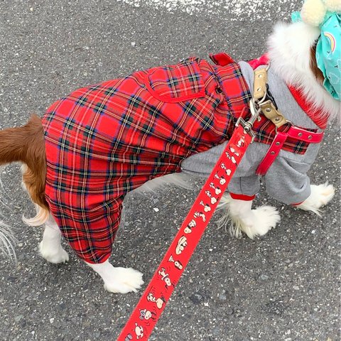 犬服オーバーオールロンパースタータンチェック秋冬物新作