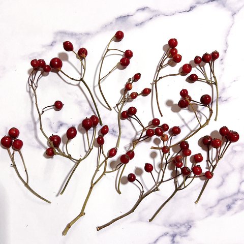 野ばらの実 小枝 12~15本 赤い実 ノイバラ ノバラの実 ローズヒップ ドライフラワー クリスマス 素材   