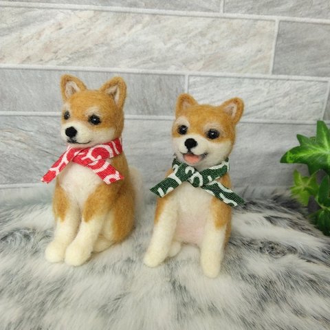 🎀ご予約のお客様専用ページ　柴犬