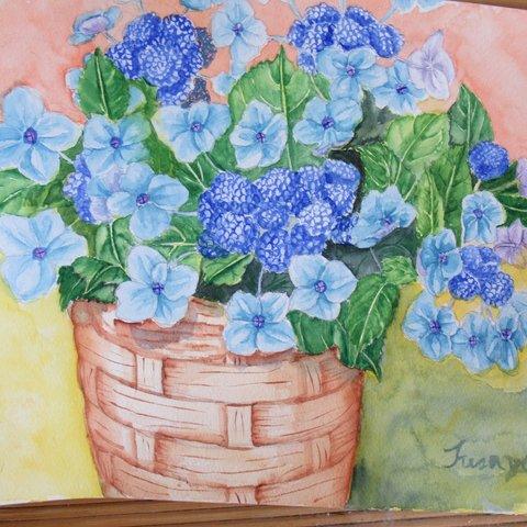 絵画、額紫陽花