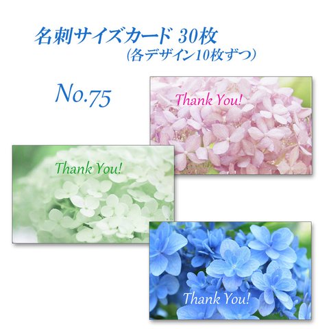 No.075　アナベルとアジサイ佳澄　  名刺サイズサンキューカード  30枚