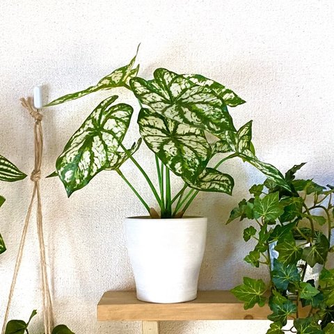 観葉植物　カラジューム(ホワイトストーン)フェイクグリーン  インテリアグリーン　　人工観葉植物