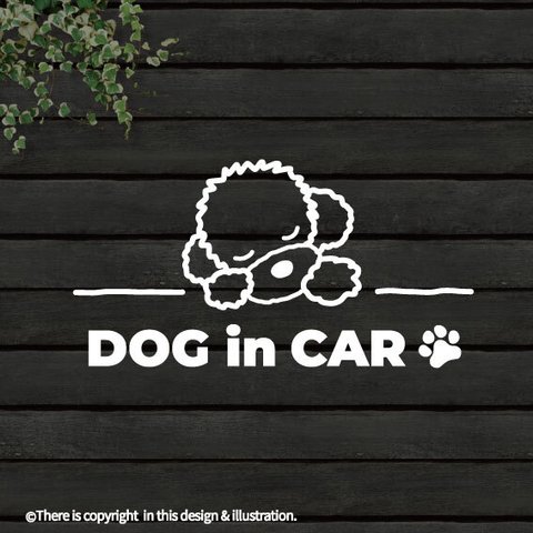 DOG IN CAR/ トイプードル/B【カッティングステッカー】手書きわんこ