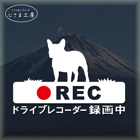 フレンチブルドッグの白色シルエットステッカー煽り運転ドライブレコーダー録画中‼