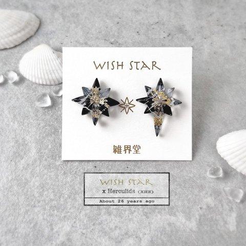 【Wish Star：ヘルクレス座流星群】ピアス・イヤリング・ピンズ