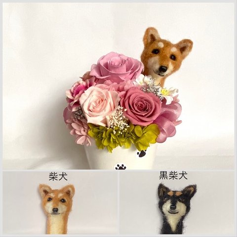 ちょこんと顔出す柴犬　黒柴犬（右側）＆　プリザーブドフラワー（くすみピンク色系）　/　羊毛フェルト