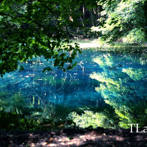 ポストカードサイズ　神秘の泉　山形県のパワースポット　丸池様　DSCF 2415-01-01