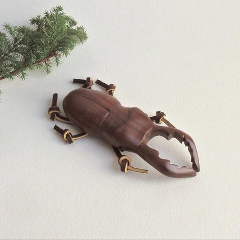 ミヤマクワガタ (★台付き)  /  Mountain Stag Beetle